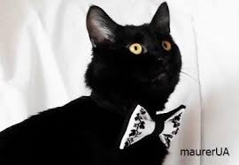 Black And White Cat With Bow Tie Embroidered Black White Cat Bow For A Bow Tie Black Tie For Cats With Ornament White Festive Bouti Cat Necktie Hipster Cat And Dog Dress