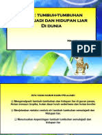 Check spelling or type a new query. Slide Show Sistem Fizikal Bumi