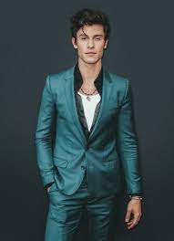 Pin By Kloe Bird On Shawn Mendes Aka My Husband Shawn Mendes Shawn Mendes Imagines Shawn