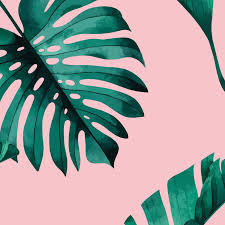Because let's be honest, white wouldn't cut it in this room. Tropical Pink Wallpapers Top Free Tropical Pink Backgrounds Wallpaperaccess