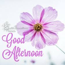 See more ideas about good afternoon, afternoons, good afternoon quotes. Good Afternoon Flower Smitcreation Com
