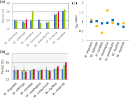 Image result for Wolffiella hyalina