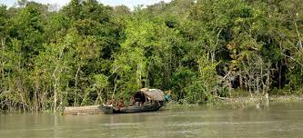Sunderbans