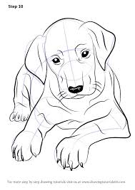 Learn How To Draw Doberman Puppy Dogs Step By Step Drawing Tutorials Hund Zeichnen Dobermann Welpen Hunde