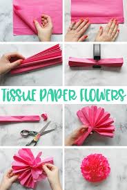 Tissue Paper Flowers The Ultimate Guide Cactus Theme