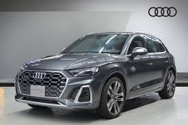 Image result for Daytona Gray 2023 SQ5