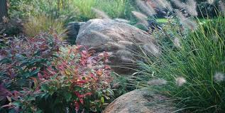 Discover the best modern farmhouse decor that you can use for inspiration. Farmhouse Landscaping Dos Don Ts Landscaping Network