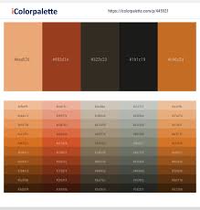 42680 Latest Color Schemes With Pink Color Tone Combinations 2021 Icolorpalette