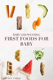Check spelling or type a new query. Baby S Very First Foods For Baby Led Weaning Lively Table