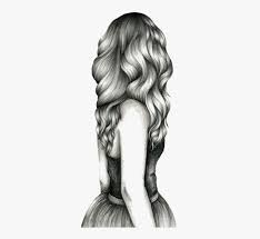 And do not know where the picture and where the picture. Clip Art Hairstyle Sketches Realistic Drawings Easy Hair Free Transparent Clipart Clipartkey