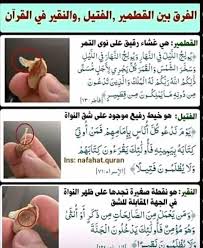 pin by essam sayed mohamed on islamiates in 2021 islam facts quran verses learning arabic