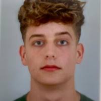 500+ "Hårleman" profiles