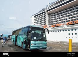 Msc bus