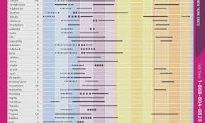 When To Plant Vegetables Chart Thehauntmusic Com