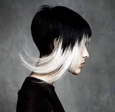 We've got great deals on all products. 78 Black And White Hair Color Ideas White Hair Color Hair Color Hair