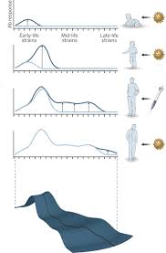 charting the life course epidemiology of influenza science