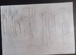 Image result for Pavetta gerstneri