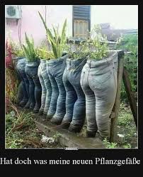 Hat Doch Was Meine Neuen Pflanzgefasse Lustige Bilder Spruche Witze Echt Lustig Gartengestaltung Garten Garten Design