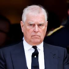 Famed grizzly bear killed after being struck by vehicle in national park as  her cub is still missing