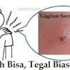Jika seseorang kelihatannya berbuat baik, belum tentu hatinya tulus. 1