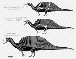 Tyrannosaurus Vs Spinosaurus | Burrunjorsramblesandbabbles