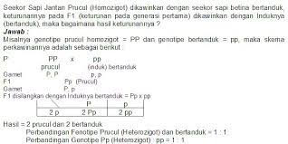 Artikel makalah membahas tentang persilangan dihibrid kelas 9 dan jawabannya, meliputi dari pengertian, contoh serta jawabannya, supaya mudah di pahami. Soal Monohibrid Kelas 9 Jawabanku Id