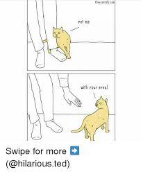 25 Best Memes About Pet Me With Your Eyes Pet Me With Your Eyes Memes