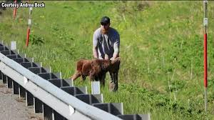 It is easy to use and understand and no special training is required. Kelsey Marie Hayes