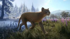 The hunter call of the wild weist ein sehr realistisches tierverhalten auf, das ins spiel integriert wurde, um die jagd anspruchsvoll und spannend zu halten. Thehunter Call Of The Wild Reserve Bundle Kaufen Microsoft Store De De