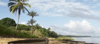1,601 likes · 21 talking about this. Suriname Travel Guide Tips And Inspiration Wanderlust