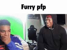 Dec 9 2020 explore simp oshi s board meme pfp on pinterest. Furry Funny Cute Furry Gif Furryfunny Cutefurry Furrygrin Discover Share Gifs