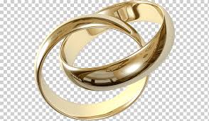 Wedding rings wedding bands digital download. Gold Colored Wedding Rings Illustration Wedding Ring Marriage Gold Married Ring Wedding Rings Png Klipartz