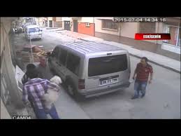 Bir Anda Ortaya Cikan Kedi Kopege Saldirdi Youtube