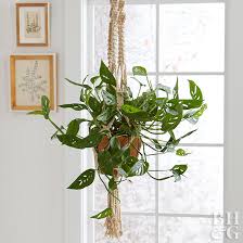 Limited time sale easy return. Guide To Hanging Plant Hooks Better Homes Gardens