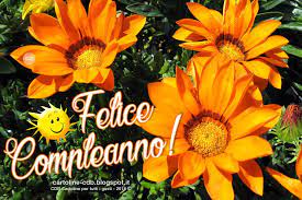 Fiori bianchi fiori arancio fiori rossi fiori gialli fiori rosa bouquet multicolore per prezzo. Pin Su Compleanni Anniversari