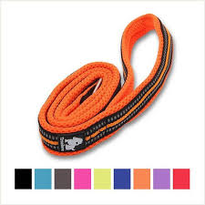 Buy Chai S Choice Padded 3m Reflective Dog Leash Orange Large 78 In At Chewy Com Free Shipping And The Best Customer Service