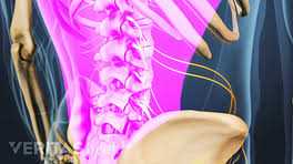 Jul 30, 2020 · the abdominal muscles also play a major role in the posture and stability to the body and compress the organs of the abdominal cavity during various activities such as breathing and defecation. Lower Right Back Pain From Internal Organs