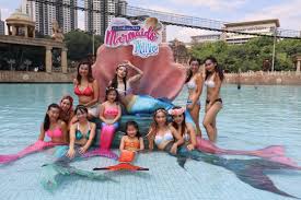 Scan & go · neuerscheinungen · klassiker · bestseller Four Malaysian Girls Share What It S Like To Become A Real Life Mermaid Lifestyle Rojak Daily