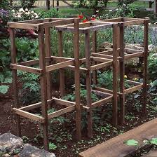 15 Fun Ideas For Growing Tomatoes Tomato Vine Tomato Garden Tomato Cages