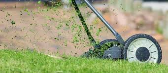Puissante, robuste, fiable et rapide, elle s'adapte à tous les types de terrains. 5 Meilleures Tondeuses A Gazon Manuelles Comparaison 2021 Jardinage Sur