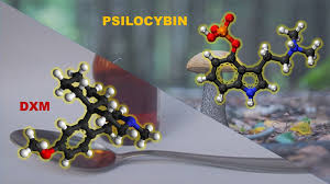 Research Story Tip What Motivates People To Use Psychedelics New Criteria May Help Provide The Answer