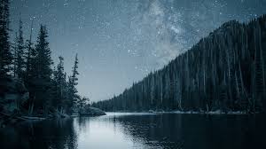 Широкоформатные обои формата qwxga (2048 на 1152 pix). Download 2048x1152 Wallpaper Night Out Lake Forest Nature Dual Wide Widescreen 2048x1152 Hd Image Background 22633
