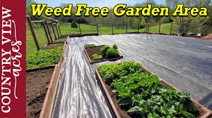 Landscape fabric is great for letting water through, so you can put it closer to your plant stems without worrying about deflecting water. Installing Woven Weed Barrier In The Vegetable Garden Youtube