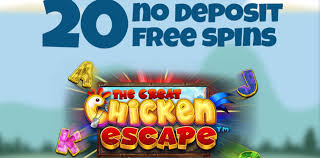 We did not find results for: Redeem Your 20 Free Spins Without Deposit At Crazeplay Casino
