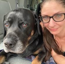 Baxter Springs Ks Animal Control Event Followup and Adoption Inquiries