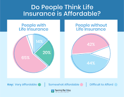 Life, which has a ton of products and an a++ a.m best rating. The Best Cheap Life Insurance For 2020 Termlife2go