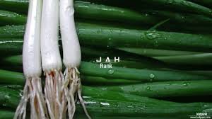 You seem to have conflated two separate phenomena. Ø¬Û Jah Name Meaning In Urdu Arabic Names For Boys