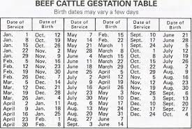 17 Breeding Picking Sire Spirited Rose Homestead Dairy Farm