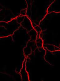 Red Wallpaper Red And Black Wallpaper Marble Iphone Wallpaper