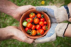 The pancreas is located behind the stomach, so having pancreatic cancer doesn't involve a palpable mass that you can feel. Good Source Of Lycopene Tomatoes And Watermelon Healthcastle Com